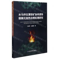 [N]水与伴生黄铁矿协同诱导煤氧化放热自燃机理研究-9787502083090