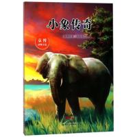 正版新书]袁博动物小说?小象传奇袁博9787558306501