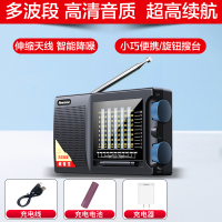 纽曼T-6629+充电器收音机老人可充电便携式迷你小音响戏曲随身听高考英语听力四六级播放器