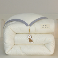 A类无印风大豆被保暖大豆纤维被芯加厚冬被学生宿舍单人春秋被子