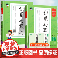 53积累与默写四年级下册上册语文人教版5.3小学基础练汉语拼音教材同步训练专项练习题册看拼音写词语默写能手五三天天练素材