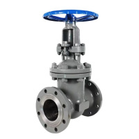 中锦科技 铸钢法兰闸阀 Z41-16C DN40 台