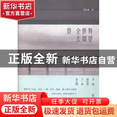 正版 替全世界去仰望 林东林著 文化艺术出版社 9787503958038 书