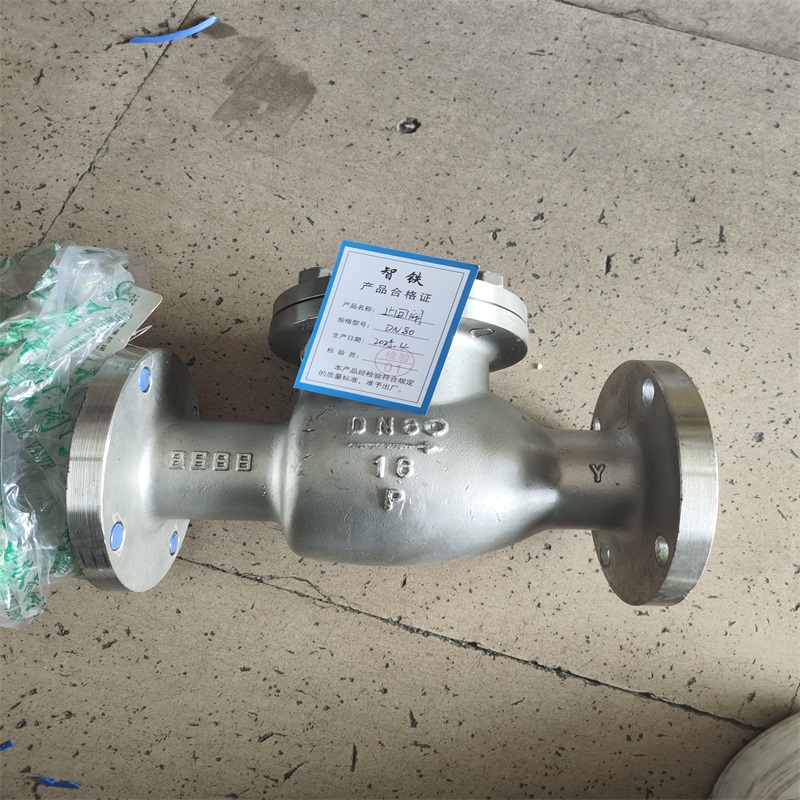 智铁 止回阀 DN80 个