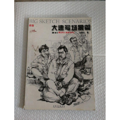 正版新书]大速写场景篇李佩华9787539861432