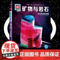 矿物与岩石8-10-12岁德国少年儿童百科知识全书 什么是什么was ist was珍藏版 小学生课外阅读书籍十万个为什