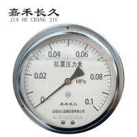 嘉禾长久+耐震压力表轴向带边检测定制型+YTN150ZT+块