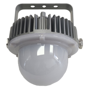 光大特照 EBF605(LQ)-60 60W 220V IP66 LED平台灯 (计价单位:个) 银白色