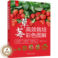 [醉染正版]草莓高效栽培彩色图解 路河 编 种植业 专业科技 机械工业出版社 9787111729693 图书