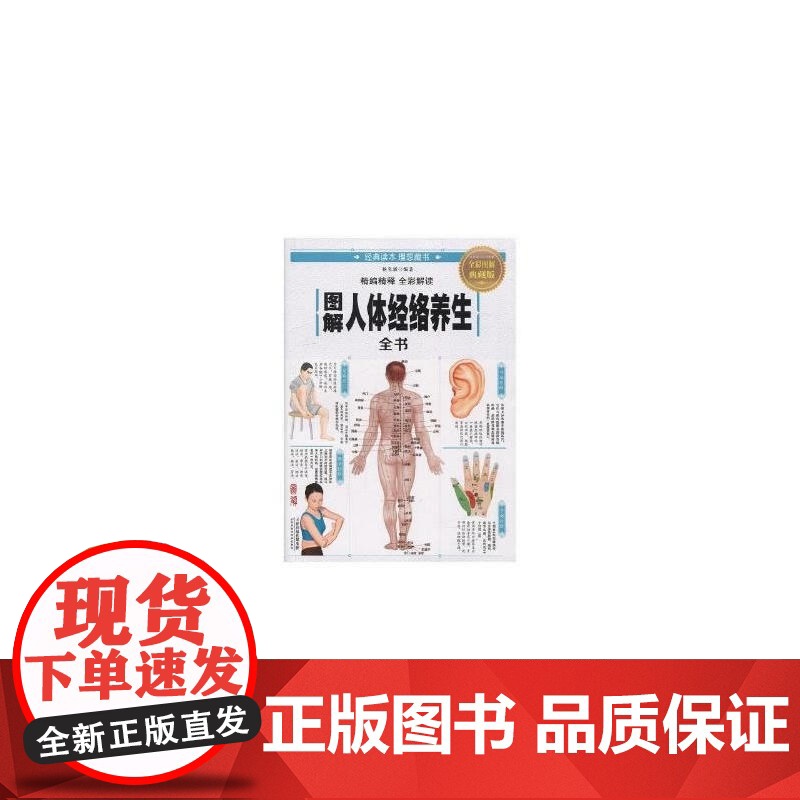 图解人体经络养生全书