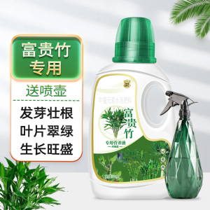 [补贴10%]富贵竹专用营养液治叶子发黄转运竹节节高文昌竹水竹水培植物生根