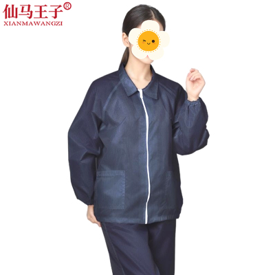 仙马王子 防护服工作服 XMWZ-010 套