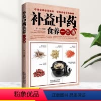 [正版]补益中药食养一本通 中医养生食疗家庭实用补益中药中药药性药效搭配禁忌健康饮食营养食补食疗大全制作中药药膳书籍养