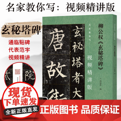 柳公权《玄秘塔碑》名家教你写视频精讲版 楷书碑帖简体释文通临视频教程 书法爱好者初学者辅导班及书法教师用书