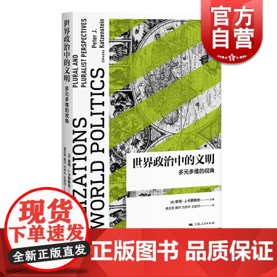世界政治中的文明:多元多维的视角 彼得·J.卡赞斯坦 文明三部曲 上海人民出版社
