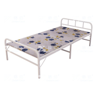 臻远 ZY4052501 钢木床简易折叠床单人床两折 宽0.8米白色 1张