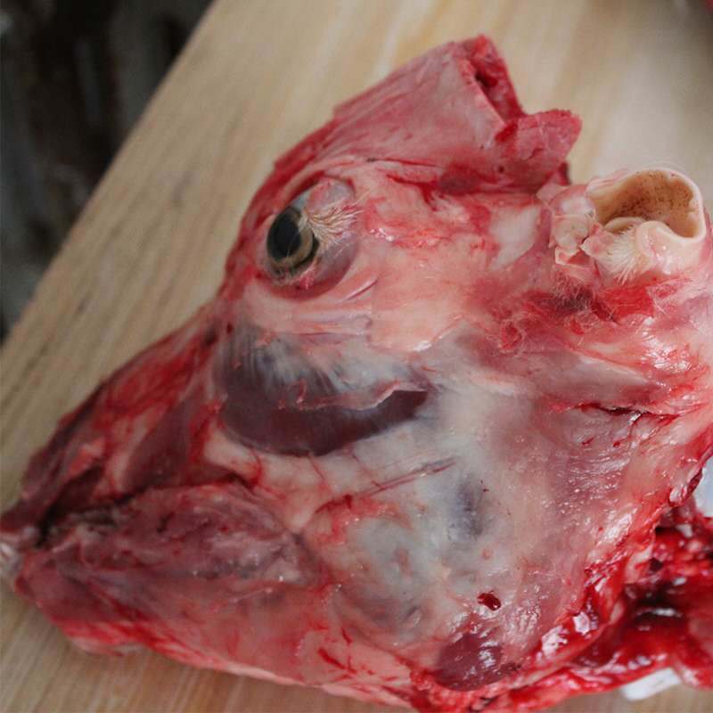 赛卡伊 甘肃黑山羊现杀羊肚子新鲜羊肚毛肚生羊肝肺羊肥肠羊头羊杂碎