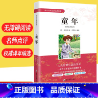 童年(4-6年级) [正版]童年名人传昆虫记小王子呼兰河传伊索寓言骆驼祥子海底两万里朝花夕拾简爱钢铁是怎样炼成的鲁滨孙漂