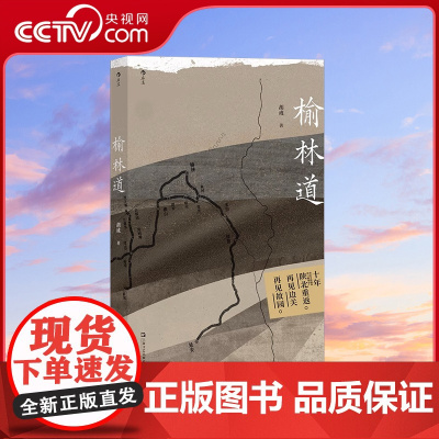 [央视网 附赠明信片]正版 榆林道 单向街文学奖年度旅行写作 胡成著 陕西历史文化怀旧随笔散文 纪实报告文学书籍HL