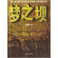 正版新书]梦之坝刘继明9787222039414