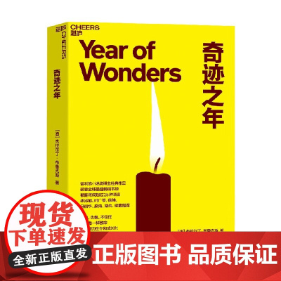 奇迹之年 澳杰拉尔丁·布鲁克斯 著 小说