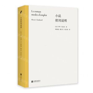 [N]小说使用说明-9787559672001