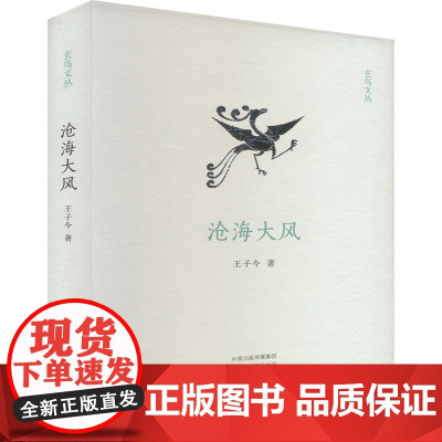 沧海大风 9787573815316 中州古籍出版社 王子今 2024-10