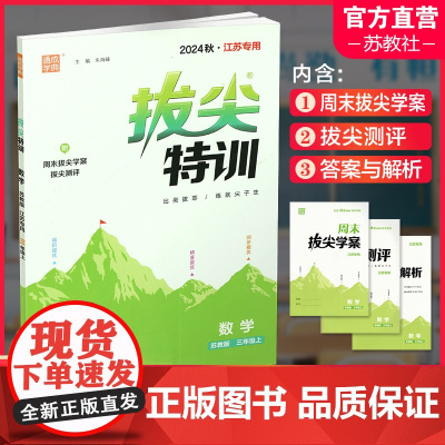 2024秋 拔尖特训 数学 苏教版 三年级上 3上 同步提优训练专项练习一课一练 同步教辅 必刷题 通成学典天天练教辅