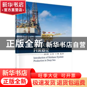 正版 深海天然气水合物开采概论 蒋宇静,公彬,王刚 科学出版社