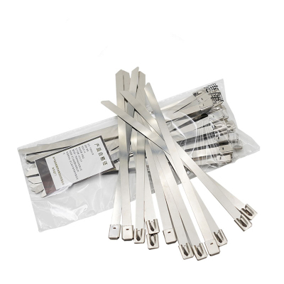 捷犀 不锈钢扎带 4.6*300mm100条/包