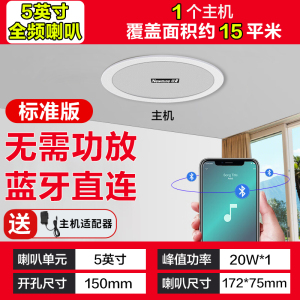纽曼(Newmine)无线蓝牙吸顶音响K-908A 单主机