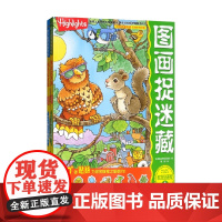 图画捉迷藏2020疯狂贴画版 美国童光萃集出版社 著 手工游戏