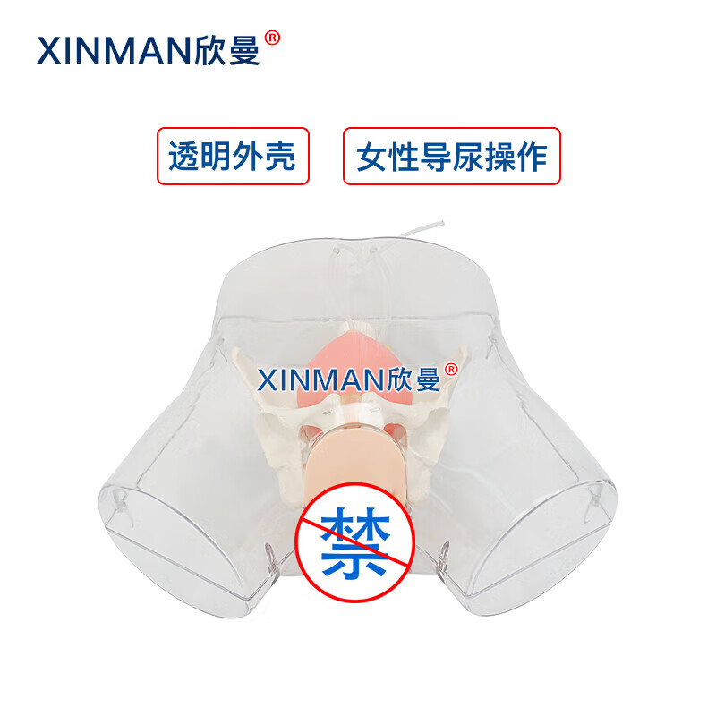 欣曼科教 高级透明女性导尿模型 女性透明导尿操作训练模拟人XM-H15