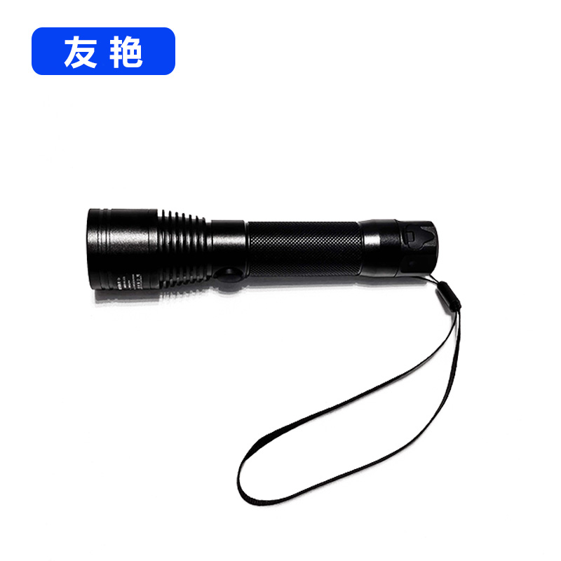 友艳LED灯YYDD-013/个