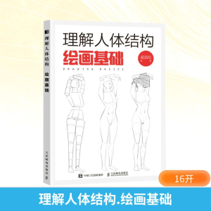 理解人体结构 绘画基础