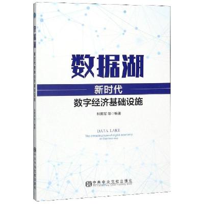 正版新书]数据湖(新时代数字经济基础设施)编者:林拥军978750356