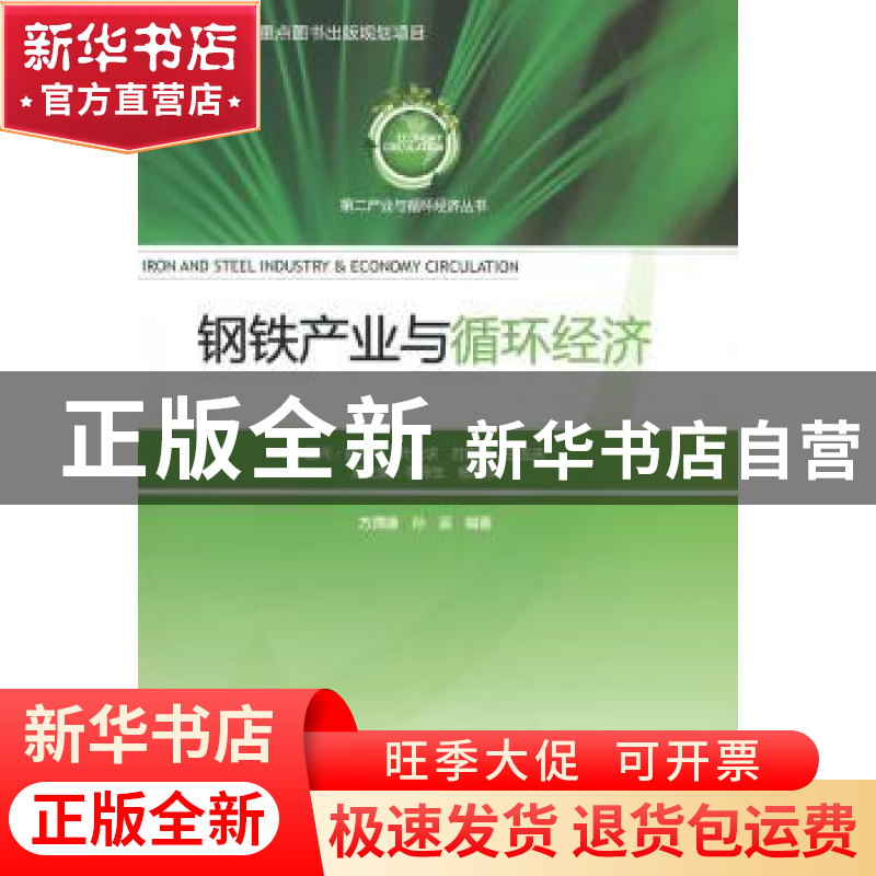 正版 钢铁产业与循环经济 李沛生,杨西京总主编 中国轻工业出版