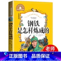 [正版]钢铁是怎样炼成的 小学生彩图注音版 世界经典儿童文学小说名著 6-12周岁少儿读物 一二三年级阅读课外书必读