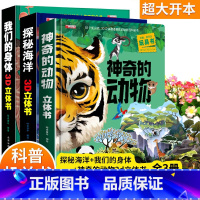 [全3册]神奇的动物+探秘海洋+我们的身体立体书 [正版]我们的大中国立体书 儿童3d立体书益智玩具读物3-6岁以上8-