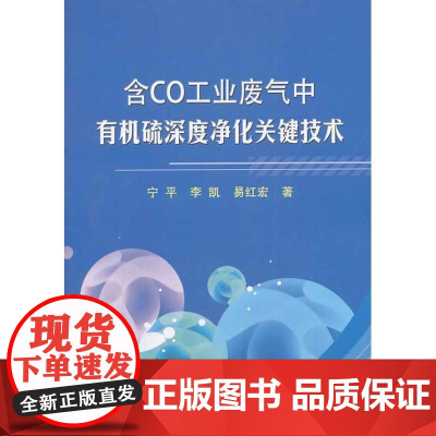 含Co工业废气中硫深度净化关键技术/宁平