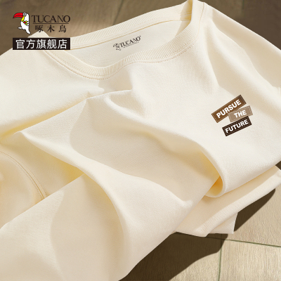 啄木鸟男士长袖T恤2025秋季新款纯棉内搭衣宽松大尺码秋装上衣男款Y