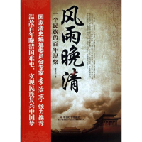 音像风雨晚清唐文立