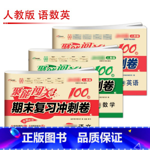 [人教版]语/数/英(3本) 国一下 [正版]聚能闯关初中期末复习冲刺卷100分国一上册试卷测试卷全套八九年级上下册初一