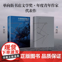 午夜降临前抵达 刘子超圆桌派 俞敏洪李健罗新许知远推崇作家 欧洲旅行游记 失落的卫星 新经典当代文学散文 旅行之道保罗索