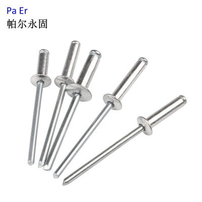 帕尔永固不锈钢抽芯铆钉4×12 个