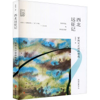 西北远征记 宣侠父小说诗歌选