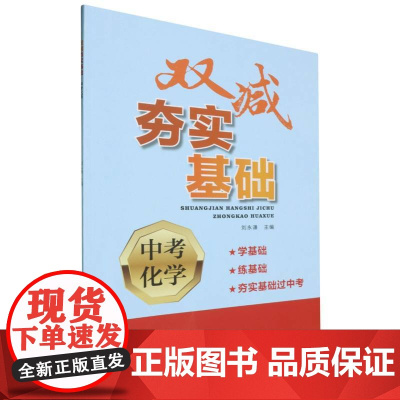 中考化学/双减夯实基础