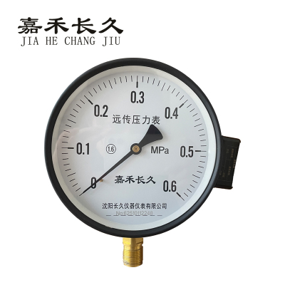 嘉禾长久 远传压力表检测型 YTZ150 块