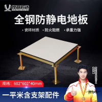 悍刀匠造 全钢陶瓷面防静电活动地板 602*602*40mm HDJ-320S-OJG6240BH