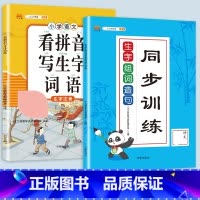 生字组词造句+看拼音写生字 一年级上 [正版]2023新版生字组词造句一年级二年级三四上册下册小学语文同步专项训练题阅读